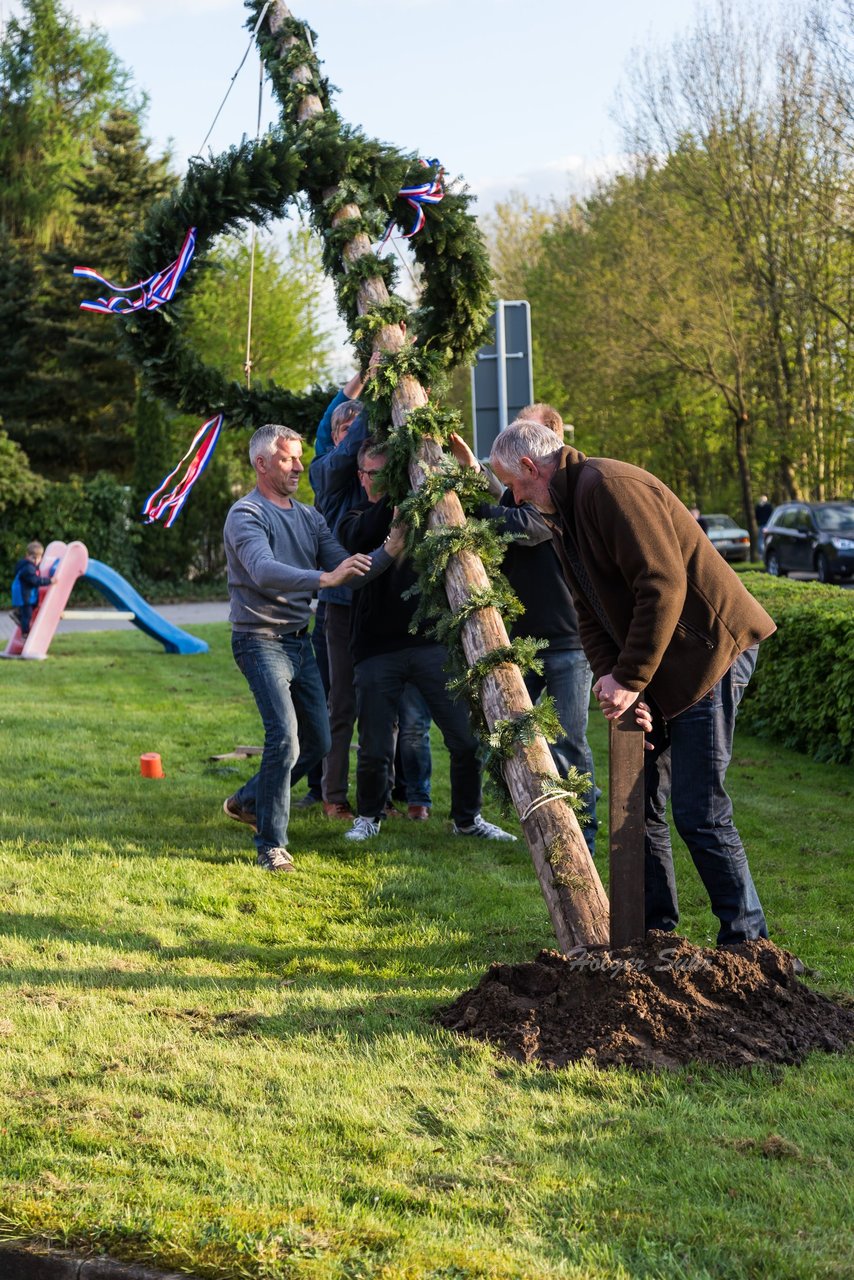 Bild 66 - Maibaum